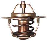 TERMOSTATO RENAULT 19/CLIO/MEGANE